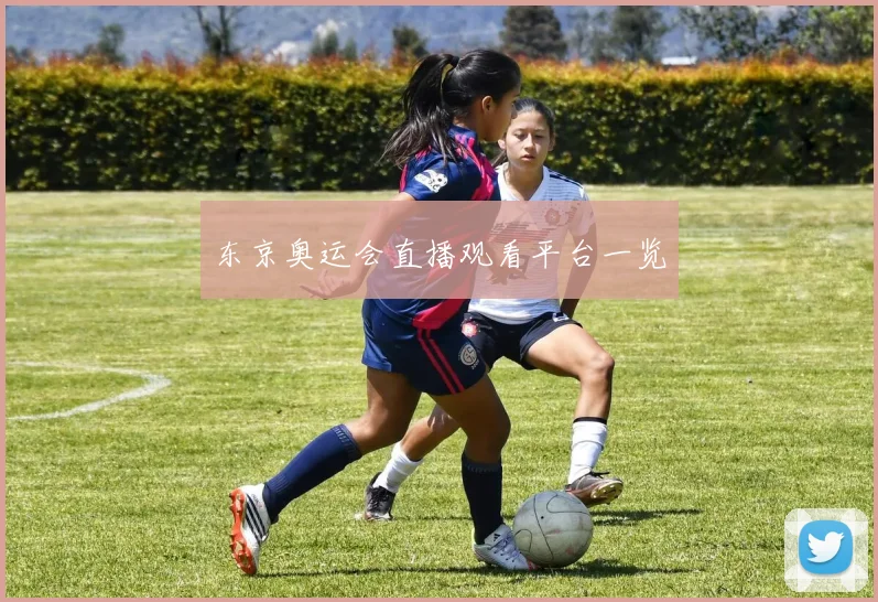东京奥运会直播观看平台一览
