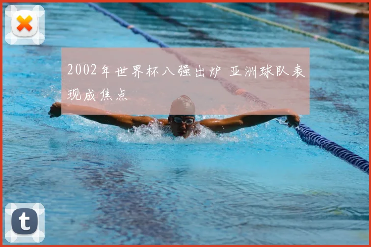 2002年世界杯八强出炉 亚洲球队表现成焦点